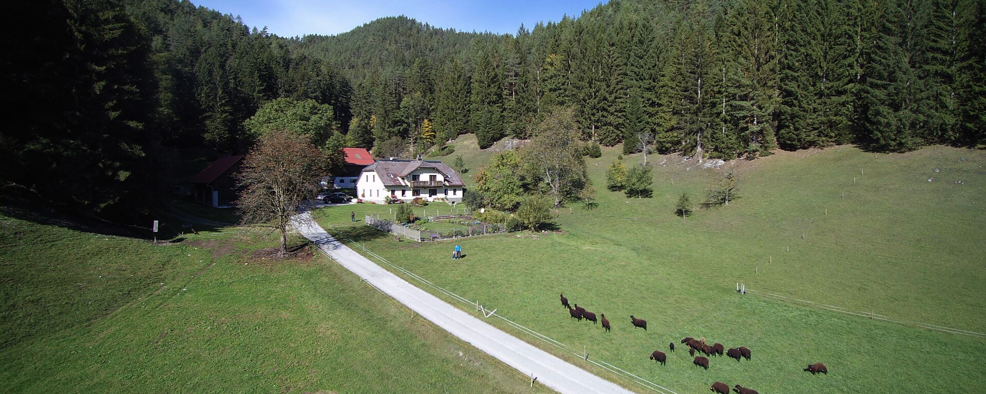 Biohof Scheikl im Herbst