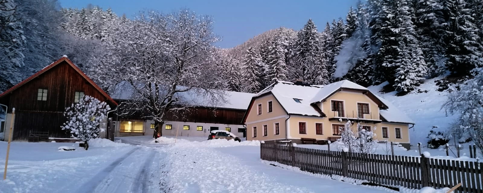 Biohof Scheikl im Winter